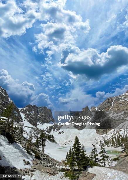 hiking in the woods - rocky mountain national park - colorado - boulder co stockfoto's en -beelden