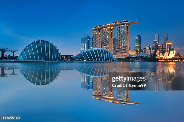 gardens by the bay - bahía de marina singapur fotografías e imágenes de stock