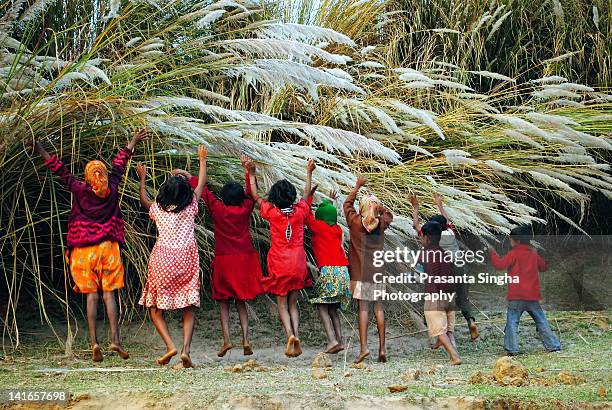 children playing with tree - bengali girl stock-fotos und bilder