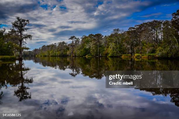 Bayou Roma's La Bayou Photos and Premium High Res Pictures - Getty Images