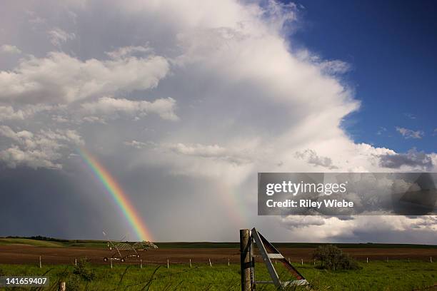 Rainbow Riley Photos and Premium High Res Pictures - Getty Images