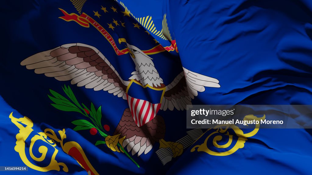 Flag of the US State of North Dakota