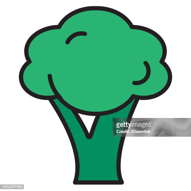 whole and sliced fresh broccoli vegetable thin line icon - editable stroke - broccoli on white stock illustrations
