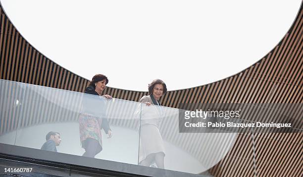 Queen Sofia of Spain attends the 'Rey Juan Carlos' University Hospital inauguration on March 21, 2012 in Mostoles, Spain.