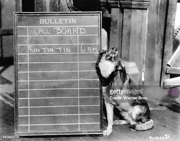 6am call is marked on a blackboard for canine film star Rin Tin Tin at Warner Bros studios, Hollywood, California, circa 1925.