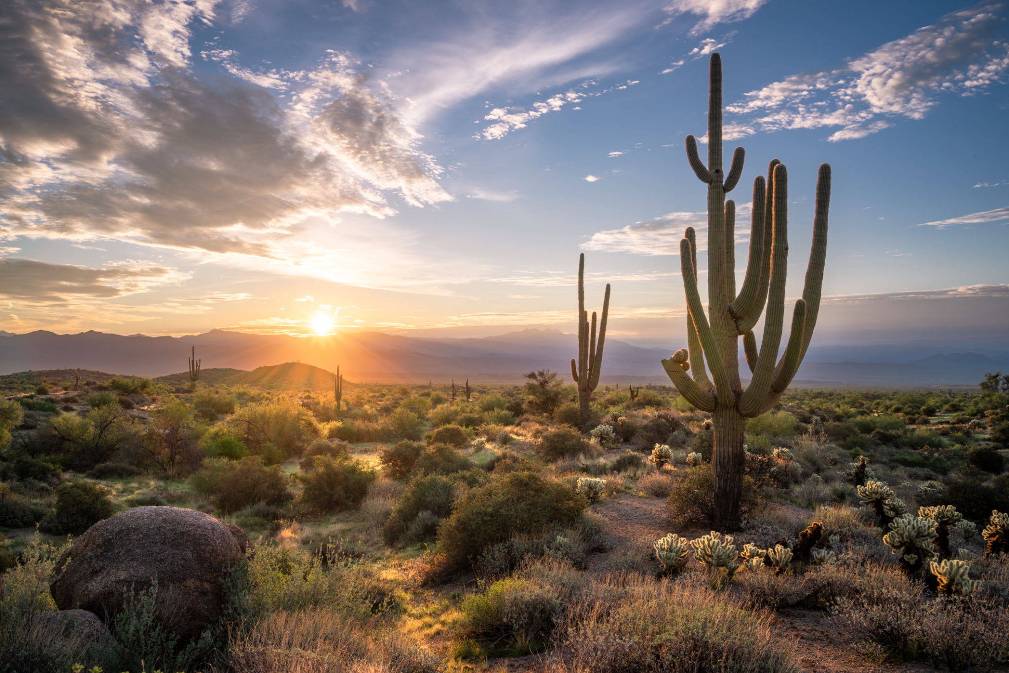 desert sunrise