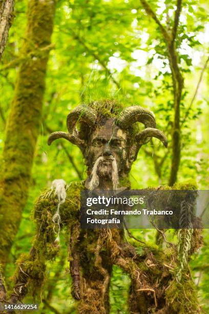 Forest Or Rams 58 Fernando Ram Stock Photos, High-Res Pictures, and Images - Getty Images