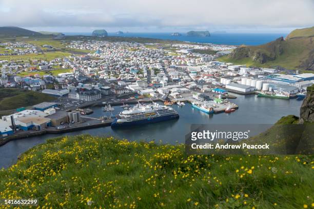 colorido paisaje de heimaey, islas westman, islandia el 29 de junio de 2022. - heimaey fotografías e imágenes de stock