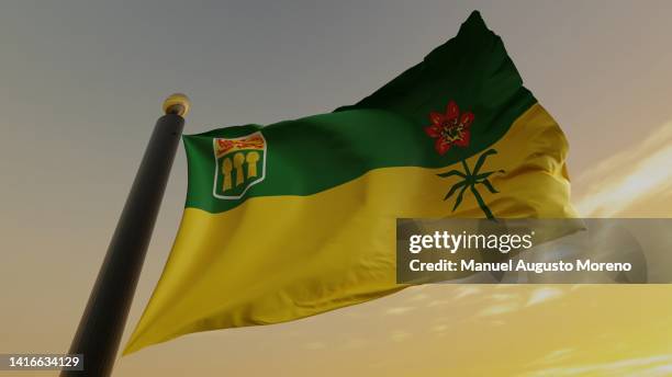 flag of the canadian province of saskatchewan - saskatchewan stock pictures, royalty-free photos & images