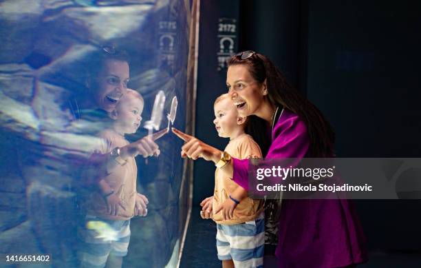 mom and son enjoy the aquarium - aquarium tunnel stock pictures, royalty-free photos & images