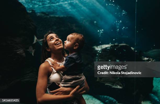 mamá hijo y acuario - acuario fotografías e imágenes de stock
