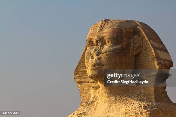 Sphinx Rye Sphinx Face Photos and Premium High Res Pictures - Getty Images