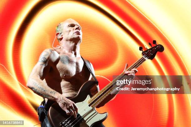 Flea of Red Hot Chili Peppers performs at Rogers Centre on August 21, 2022 in Toronto, Ontario.
