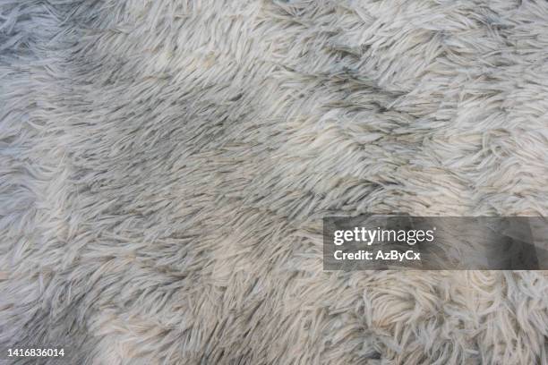 full frame shot of gray textile carpet - newly industrialized country stock pictures, royalty-free photos & images