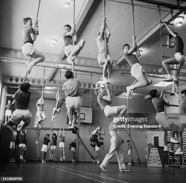 Old Gym Ropes 1,077 Climbing Rope Gym Stock Photos, High-Res Pictures, and Images ...