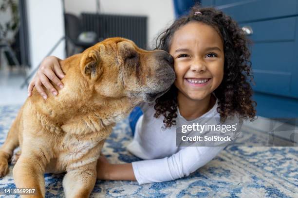 love my pet dog - cute kid stock pictures, royalty-free photos & images