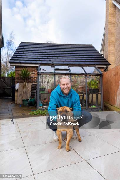 accovacciati con l'animale domestico di famiglia - shar pei foto e immagini stock