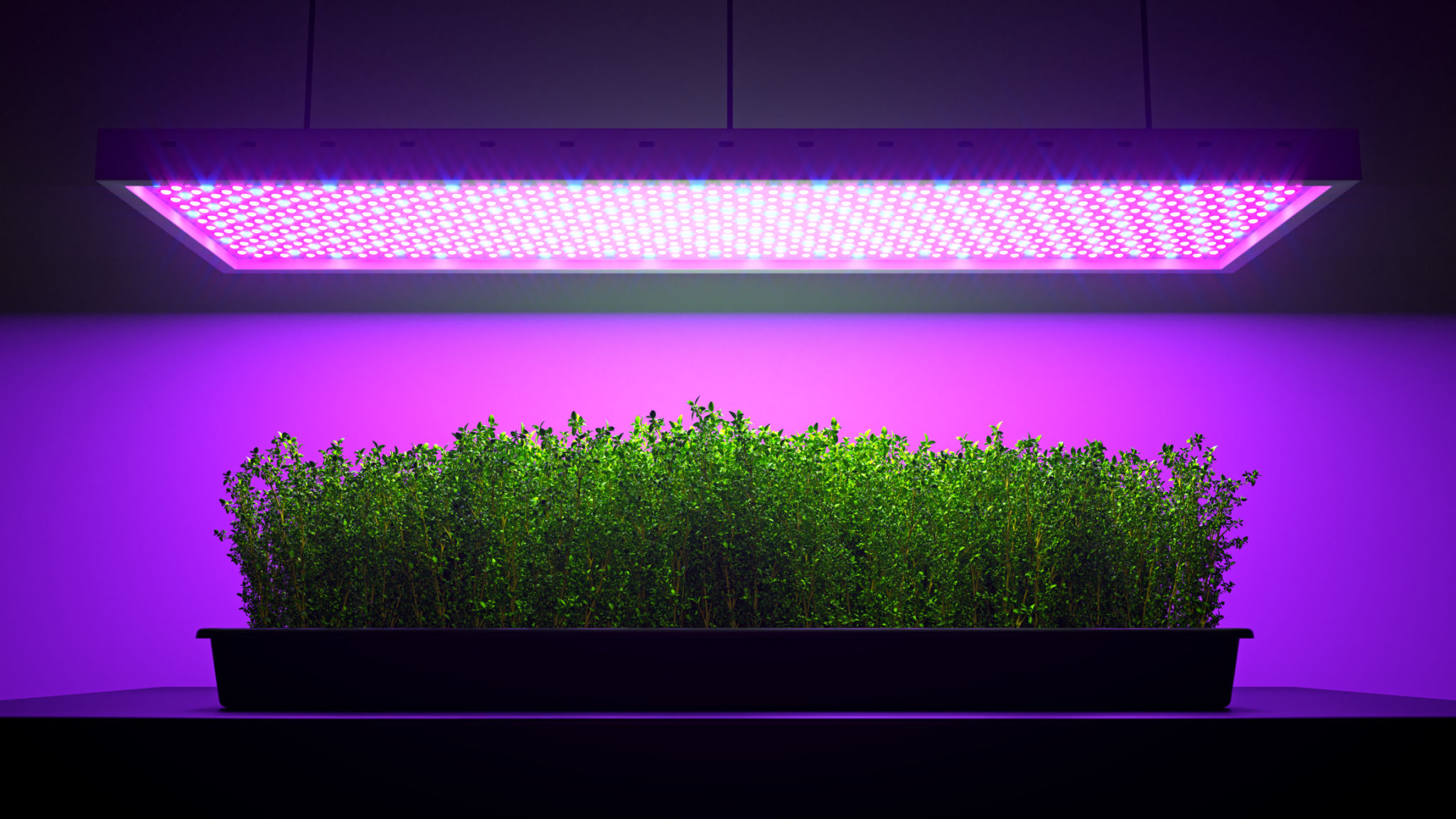 led grow lights