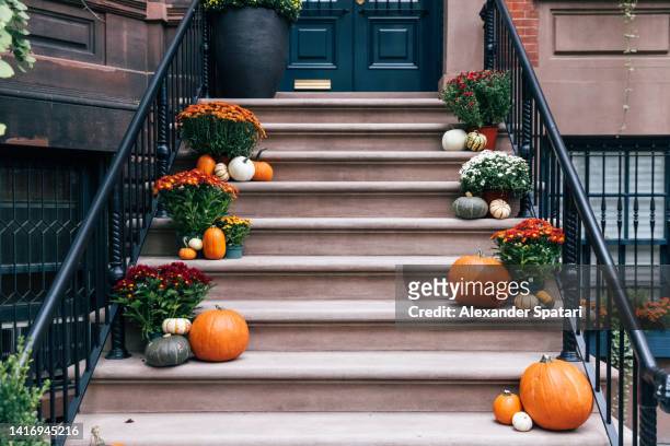 pumpkins and autumn flowers on the door steps, decorations for halloween - chrysanthemum stock pictures, royalty-free photos & images