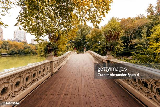 bow bridge in central park in autumn, new york city, usa - central park bildbanksfoton och bilder