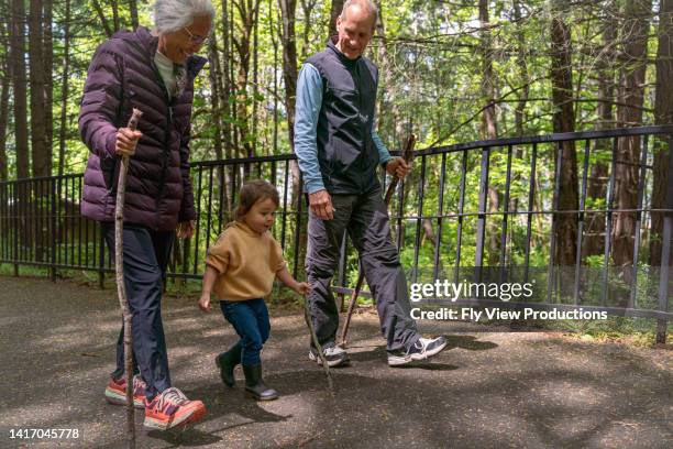 liebevolle großeltern genießen die zeit in der natur mit ihrer zweijährigen enkelin - 60 year old women stock-fotos und bilder