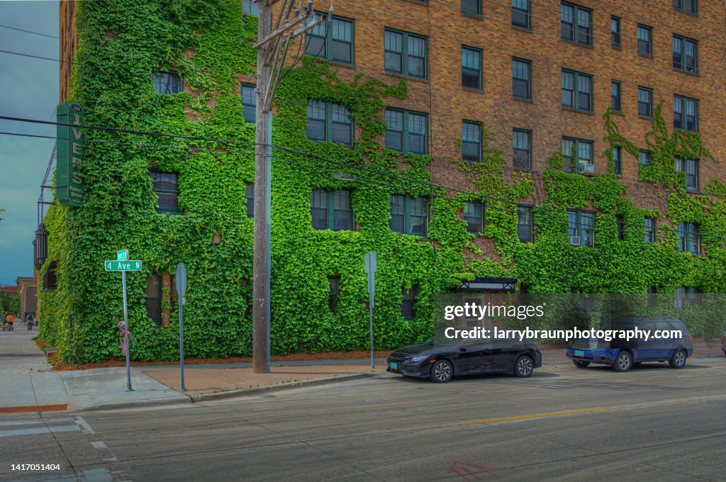 Building with Ivy Growing on the Side