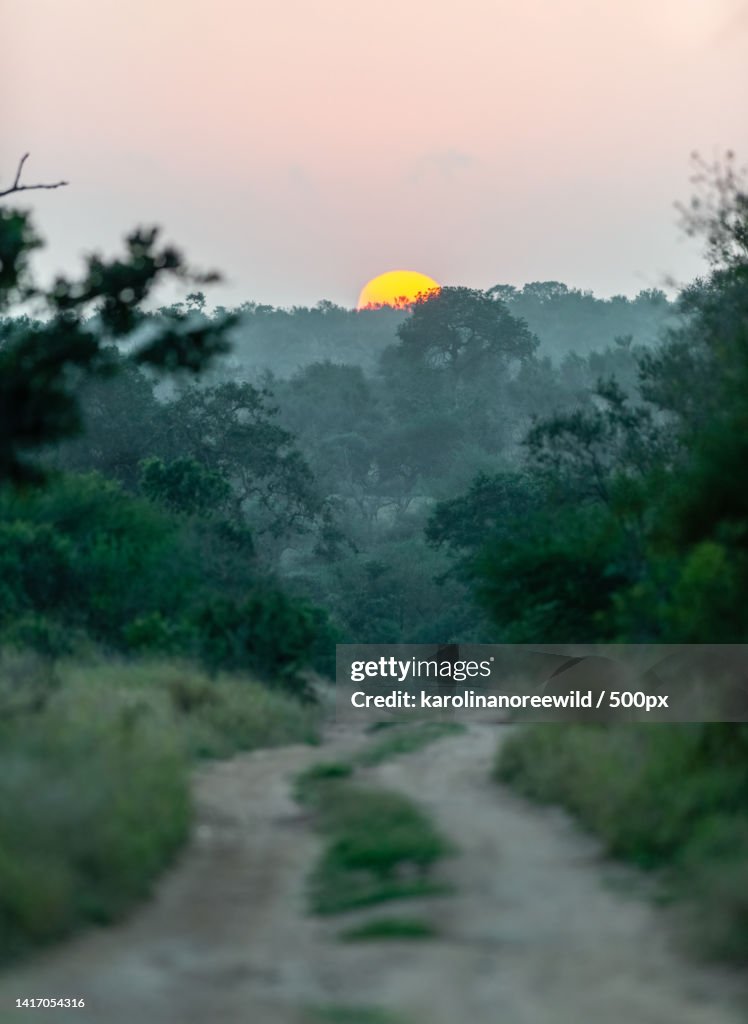 Scenic view of landscape against sky during sunset,Kruger National Park,South Africa
