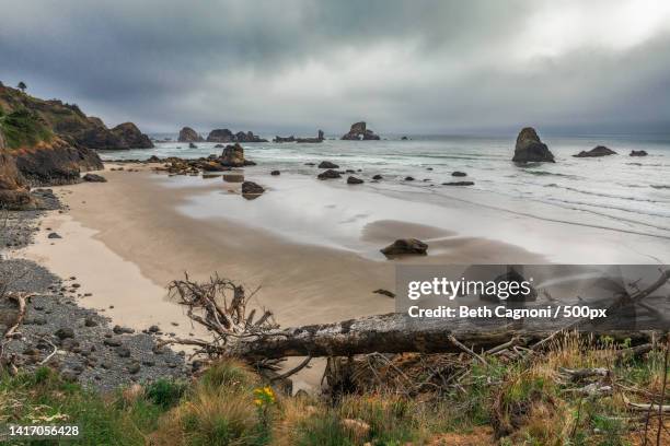 scenic view of beach against sky,cannon beach,oregon,united states,usa - cannon beach foto e immagini stock