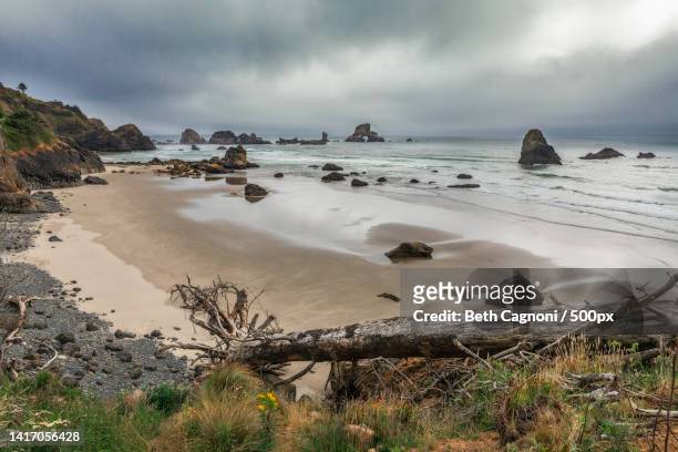 scenic view of beach against sky,cannon beach,oregon,united states,usa - cannon beach imagens e fotografias de stock