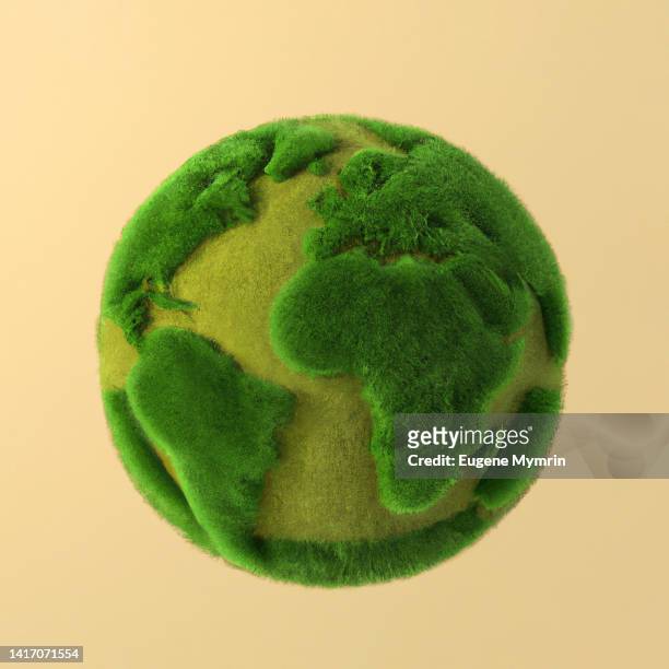 green earth covered with grass and moss - grond stockfoto's en -beelden