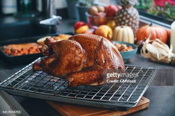 zubereitung von gefülltem truthahn für thanksgiving-feiertage - truthahn geflügelfleisch stock-fotos und bilder