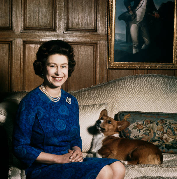 UNS: In The News: Queen Elizabeth II And Her Corgis