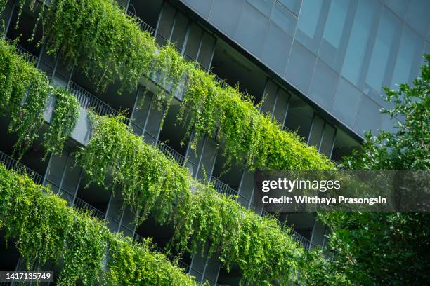 green building - bâtiment écologique photos et images de collection