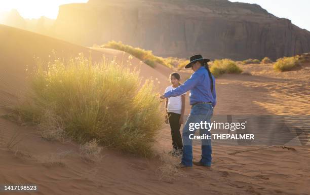 father showing a native plant to her daughter in monument valley at sunset - north american tribal culture stock pictures, royalty-free photos & images