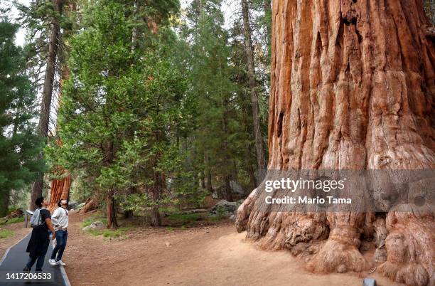 Visitors walk past a giant sequoia tree on August 22, 2022 in Sequoia National Park, California. According to the Forest Service, wildfires have...