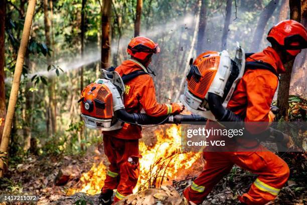 Fusee Firefighting 947 Forest Fire Fighting Equipment Stock Photos, High-Res Pictures, and ...