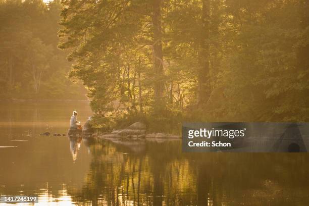 woman sitting by a lake shore with trees on a still summer evening - 1 august stock-fotos und bilder