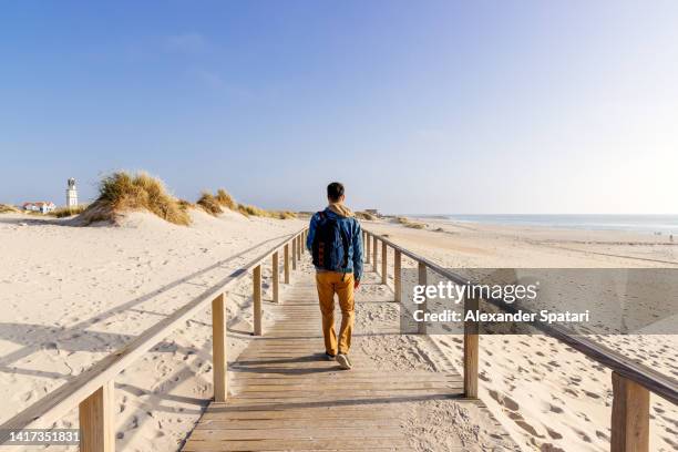 man walking on boardwalk among sand dunes by the ocean, rear view - casual man walking fotografías e imágenes de stock