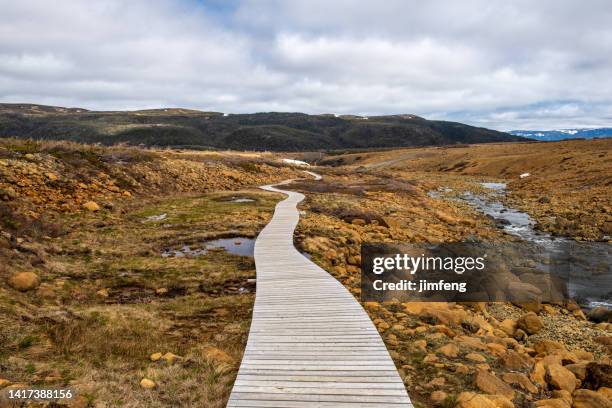 the view of tablelands trail, gros morne national park, newfoundland, canada - plateau stock pictures, royalty-free photos & images