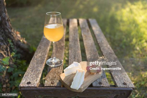 outdoor dining with camembert cheese and white wine and grapes - french cheese shop stock-fotos und bilder