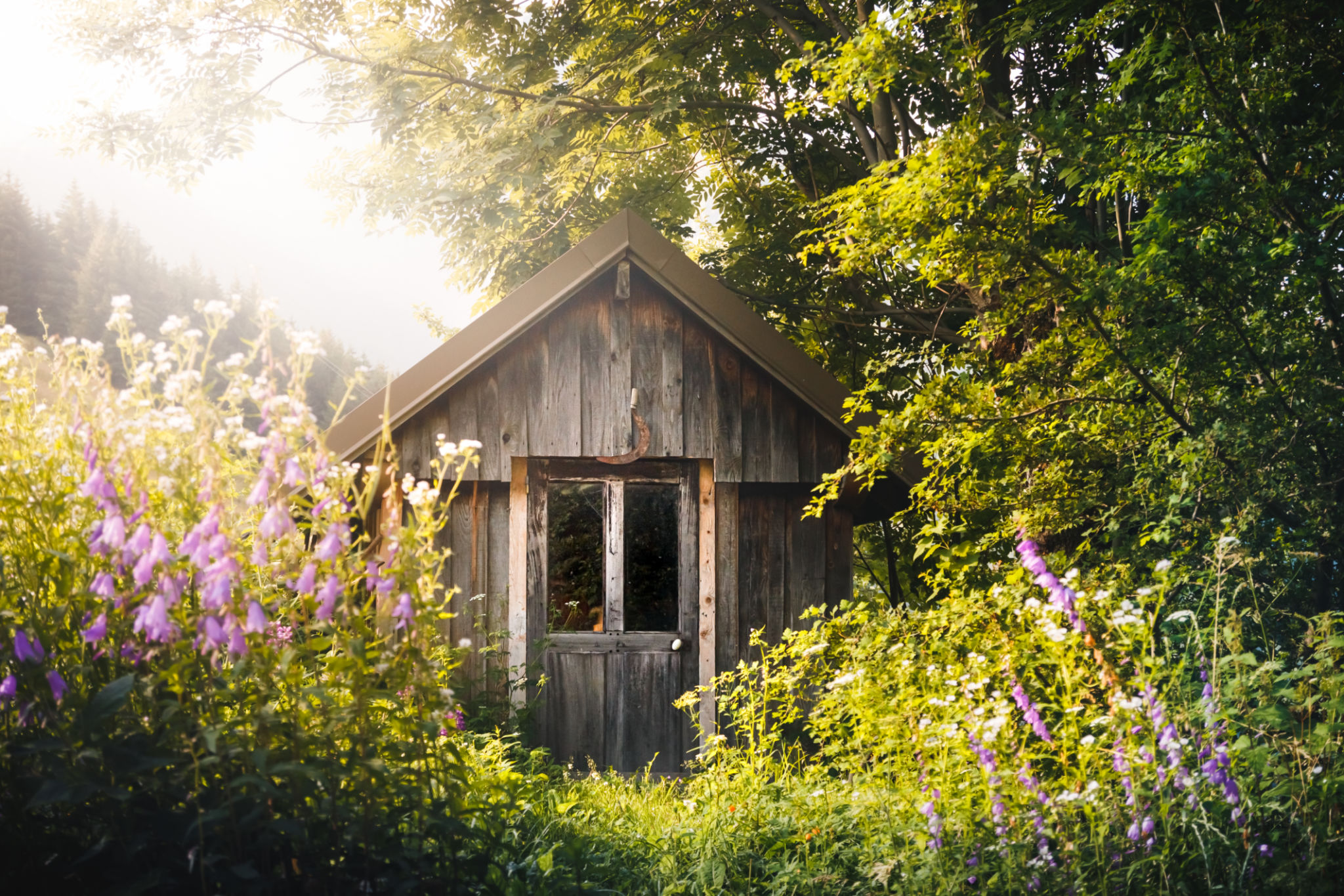 natural tone shed