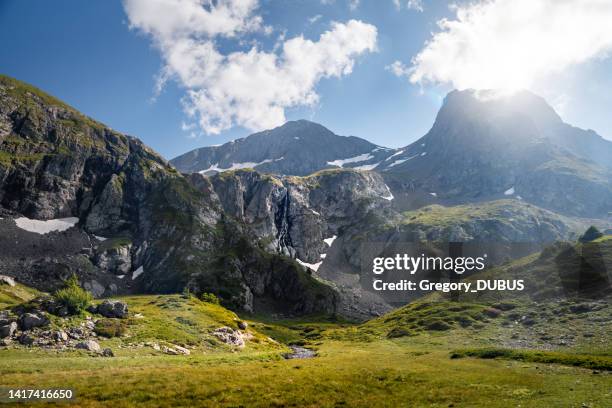 close up of melting snow on mountain cliff in the oisans massif in french alps in summer - cascade france stock pictures, royalty-free photos & images