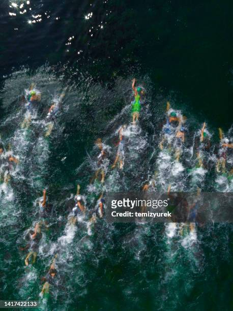 triathlon swimmers - open workouts imagens e fotografias de stock