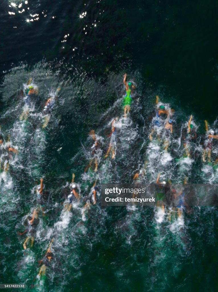 Triathlon swimmers
