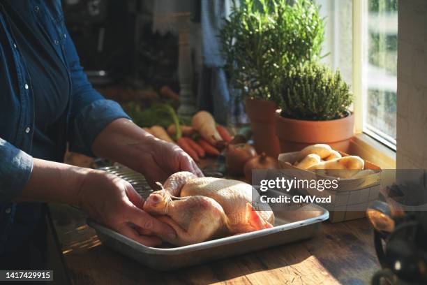 preparing roasted chicken with root vegetables in domestic kitchen - chicken roasting oven stock pictures, royalty-free photos & images