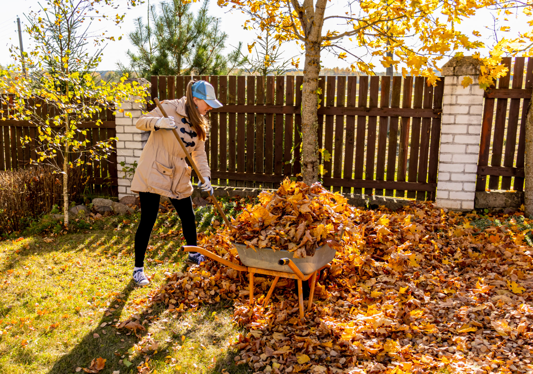 fall gardening