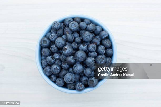 bowl of blueberries - blue bowl foto e immagini stock