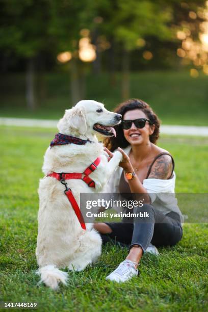 美しい
日没時に公園の芝生で金色のラブラドールレトリバー犬と遊んでいるブルネットの女性。動物の愛 - pawed mammal ストックフォトと画像