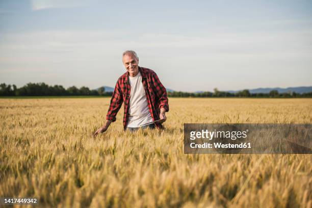 happy farmer standing amidst wheat crops on field - agriculture happy stockfoto's en -beelden
