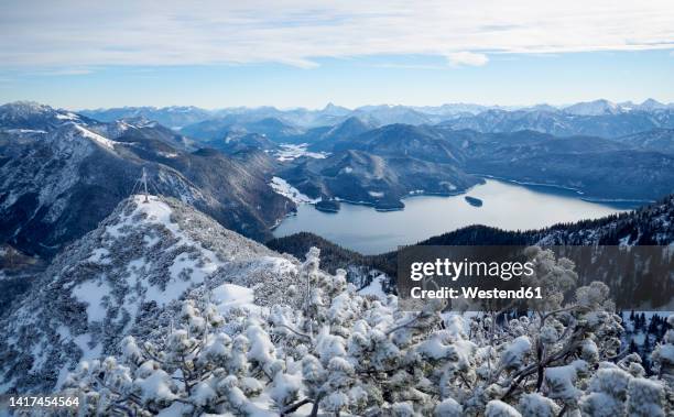 beautiful walchensee and bavarian prealps seen from mt. herzogstand, bavaria, germany - mt herzogstand bildbanksfoton och bilder